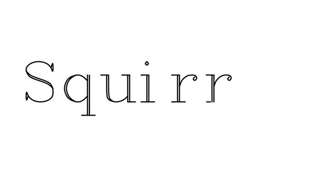 Squirrel Animated Handwriting Text in Serif Fonts and Weights