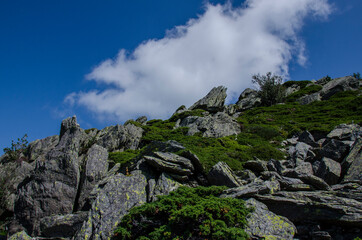 Hiking, Gerbier de Jonc mount, Ardèche, France