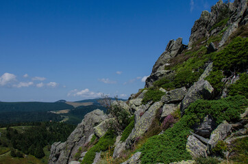 Fototapeta na wymiar Hiking, Gerbier de Jonc mount, Ardèche, France