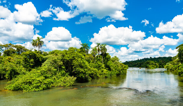 Iguazu Falls in a tropical rainforest. UNESCO world heritage in Brazil and Argentina