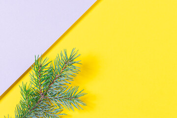 Small fir branch on yellow and gray background. Minimal Christmas and New Year background. Top view