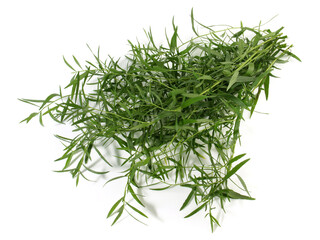 Fresh Tarragon Bundle isolated on white Background