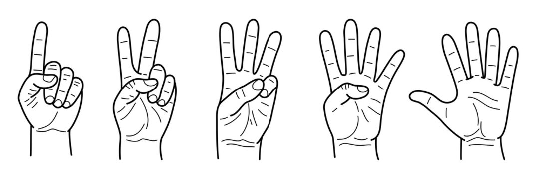 Vector drawing set of gestures fingers counting from one to five. Vintage engraved illustration with hands showing different numbers isolated on white background.