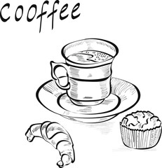 coffee, croissant, muffin lettering vector isolated on white background. Concept for menu, cards, logo 