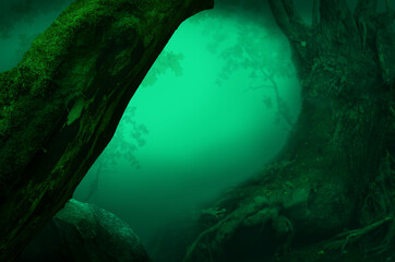 Fantasy forest with old curvy crooked trees, roots, branches silhouettes, rock and light glow on green blurry background