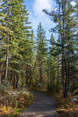 Snowing Policeman Creek Riverside Trail, Spring Creek Boardwalk in Late fall to early winter season. Town of Canmore, Alberta, Canada.