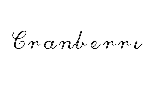 Cranberry Decorative Handwriting Animation in Six Cursive and Gothic Fonts