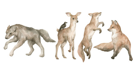 Watercolor woodland animals. Wolf, deer, fox. Forest creature. Hand-drawn wildlife animals