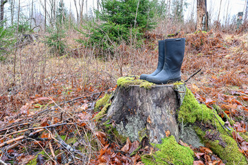 a pair of wellingtons standing on a treestump