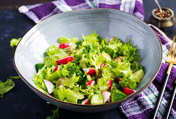 Fresh healthy salad of cucumbers, radishes and herbs with mustard-honey dressing.