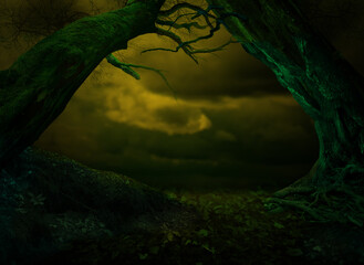Surreal fantasy landscape with scary crooked tilted trees on dark dramatic sky background