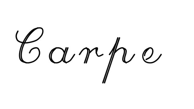 Carpet Decorative Handwriting Animation in Six Cursive and Gothic Fonts