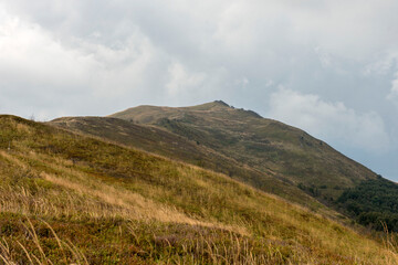 Obraz premium Widok na Smerek