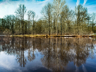 Refections on a Pond December 2020