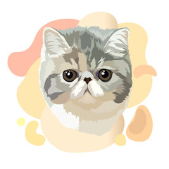 Exotic shorthaired cat vector illustration. Portrait