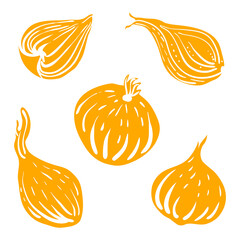 Onion. Colorful sketch of vegetables isolated on white background. Doodle hand drawn vegetables. Vector illustration
