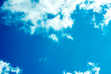 Fototapeta na wymiar sky, blue, clouds, birds, autumn, migration, flight, flock of birds