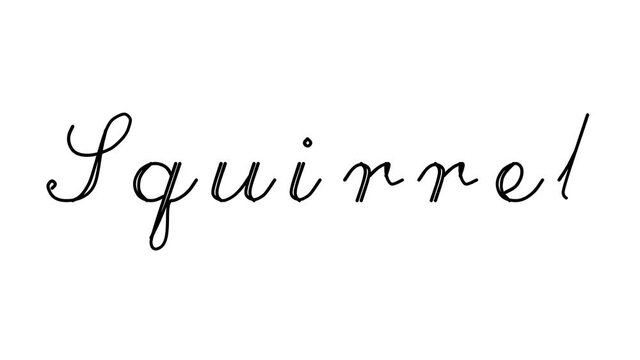 Squirrel Decorative Handwriting Animation in Six Cursive and Gothic Fonts