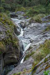 Fototapeta na wymiar river in the Ecuadorian Andes