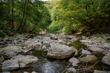 Beautiful park in Sochi in autumn