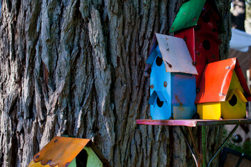 Garden flowers. Outdoor botanical garden with flowers, tulips, greenery, flora, herbage, shrubs and vegetation. Outdoor exterior neutral photography.