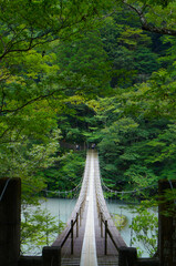 Fototapeta premium 静岡県の夢の吊り橋