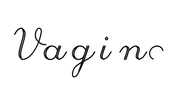 Vagina Decorative Handwriting Animation in Six Cursive and Gothic Fonts