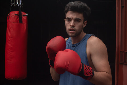 portrait of young boxer