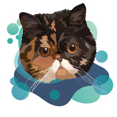 Exotic shorthair cat vector illustration. Portrait, head, gradient