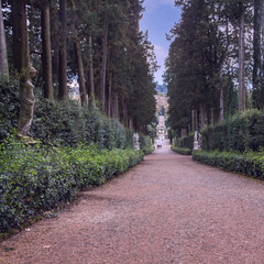 shady alley with antique statues in a suburban park of Florence against a blue sky