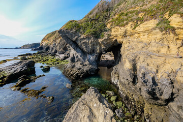 神奈川県城ヶ島の岩場