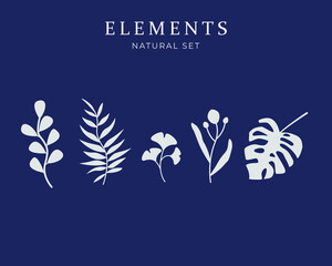 Fototapeta premium Set of vector plants and herbs. Hand drawn floral elements. Isolated vector illustration