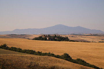 Fototapeta na wymiar View of the Tuscan Countryside in Summer, Italy
