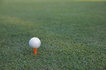 Goof setting On the platform in the grass You must understand and place the gauze correctly in order to be precise.