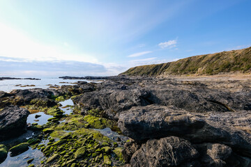 神奈川県城ヶ島の岩場