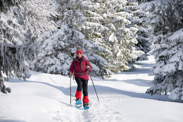 Fototapeta na wymiar nice and active senior woman snowshoeing in deep powder snow in the Allgau alps, Bavaria, Germany