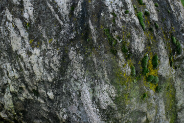 Closeup of stone with moss