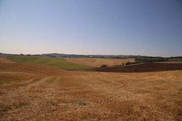 Fototapeta premium View of the Tuscan Countryside in Summer, Italy