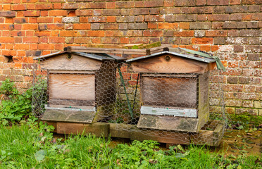 Two beehives standing in front of a brick wall