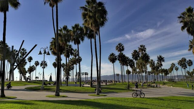 People walking and riding bikes enjoying the day out at the Venice Beach Boardwalk surrounded by grassy parks and palm trees on a sunny afternoon in Los Angeles, Califonia, USA - Wide shot