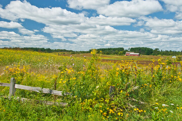 514-65 Fence & Barns, Nachusa Grasslands