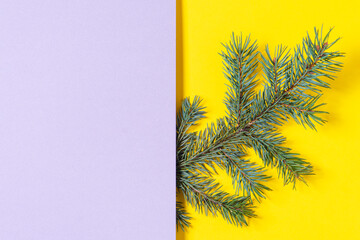 Small fir branch on yellow and gray background. Christmas and New Year background. Top view