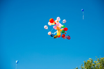 colorful balloons flying in the blue sky,