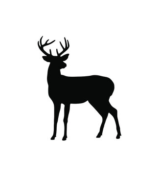 Vector black deer stag reindeer with antlers.Outline silhouette stencil drawing illustration isolated on white background .Sticker.T shirt print .Cricut. Plotter Cutting.Christmas decor. Laser cut. © Polina Raulina
