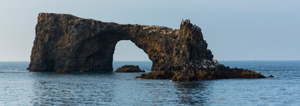 Anacapa Island, Channel Islands National Park, California, Usa, America