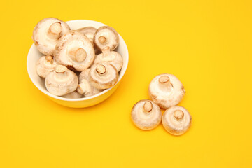 Fresh porcini mushrooms in a bowl on a yellow background. The view from the top. Copy the space.