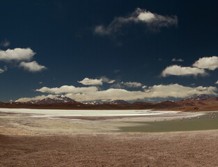 Alpine landscape. Panorama view of the arid desert, brown mountains, natural salt flats and lake, very high in the Andes cordillera, La Rioja, Argentina.