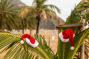 Red Santa's hat hanging on palm tree at the tropical beach. Christmas in tropical climate concept