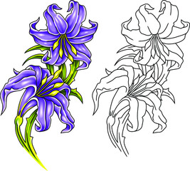 Purple lily Vector drawing in tattoo style. Lily is the personification of the Virgin Mary, which means holiness, innocence, humility and the immaculate conception.