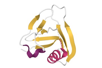 Crystal structure of CD5_DIII with the differently colored secondary structure elements, 3D cartoon model, white background
